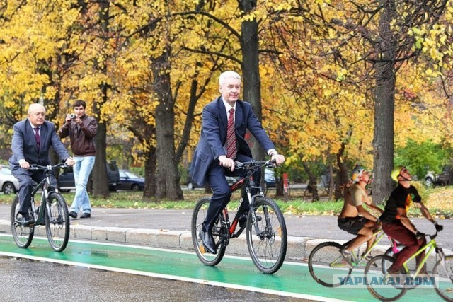 Фотожаба: Ах, гравитация, - бессердечная ты...