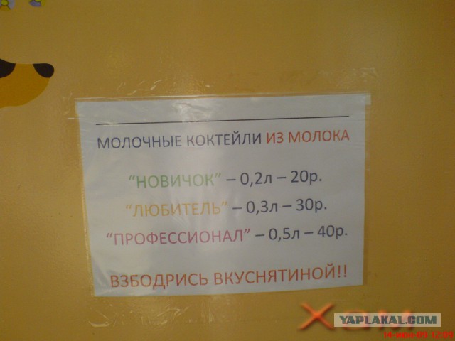 Не оскудеет земля идиотами