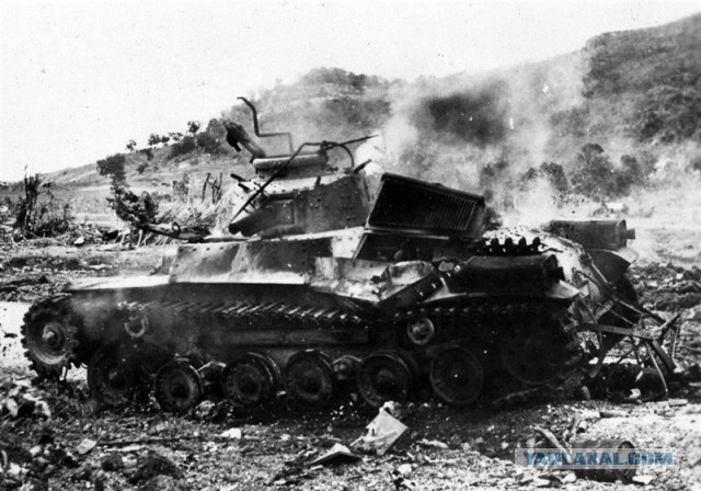 Wargaming 12, WoT сотоварищи