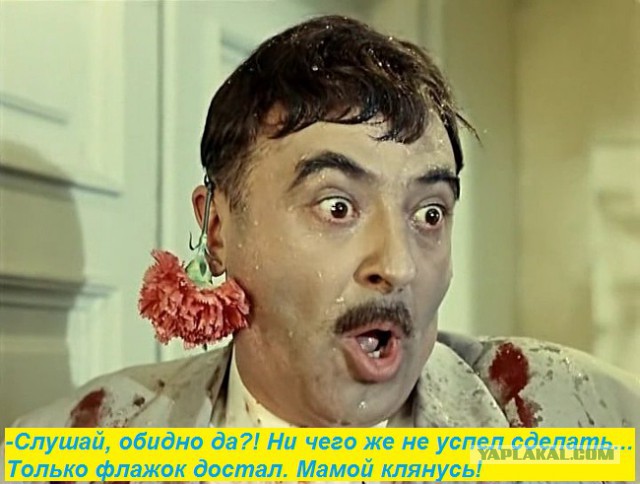 День Независимости Украины в Петербурге