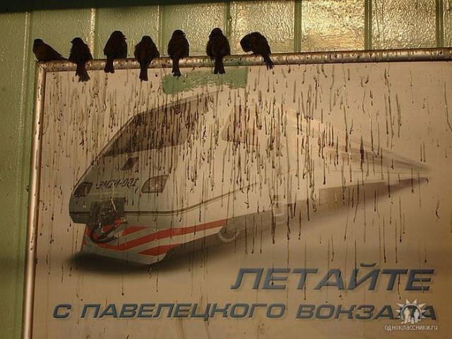 Весёлые картинки