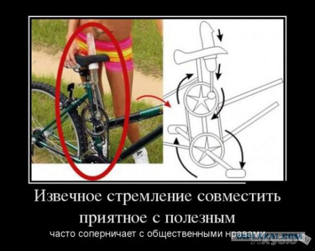 Украла свой велосипед