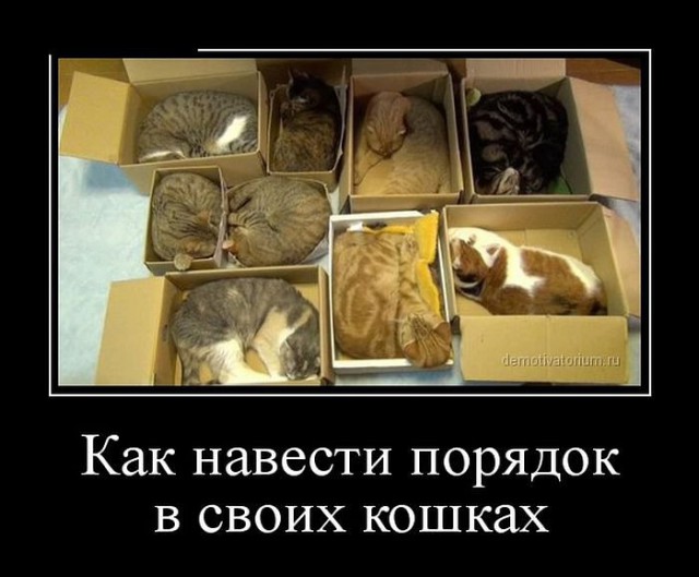 Веселости или типо того