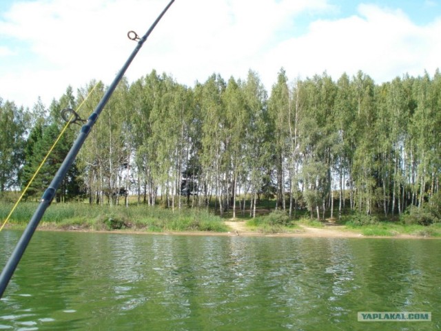 Небольшая дверь в Лето!