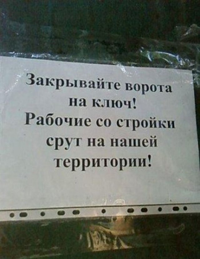 Картинки  из сети