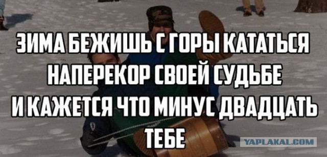 Подборка смешных и забавных фото