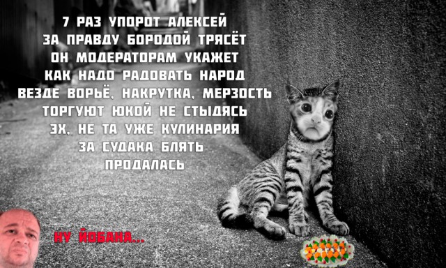 Полуфинал конкурса "Кулинар-2015" (Новички)