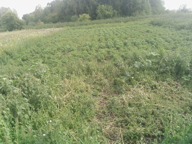 - Я хозяин, ЧЁ хАчу то и делаю.