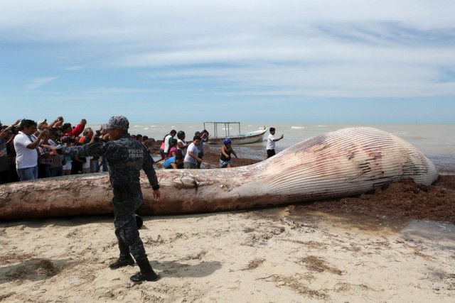 Подборка картинок 02.03.16