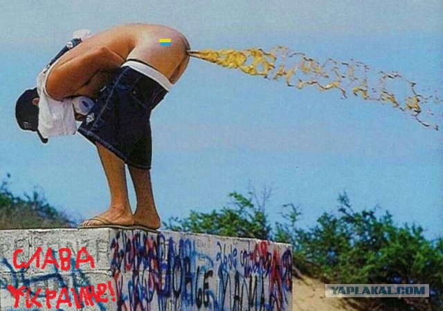 Карикатуры от Студии 13