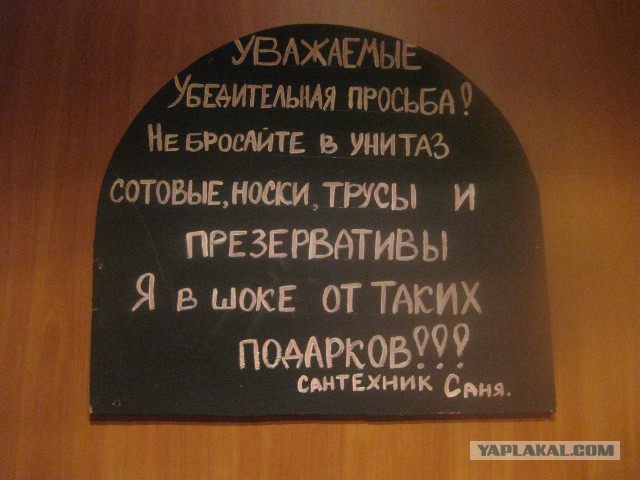 Весёлые картинки