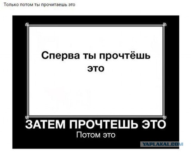 Картинки и гифки, дабы отвлечься