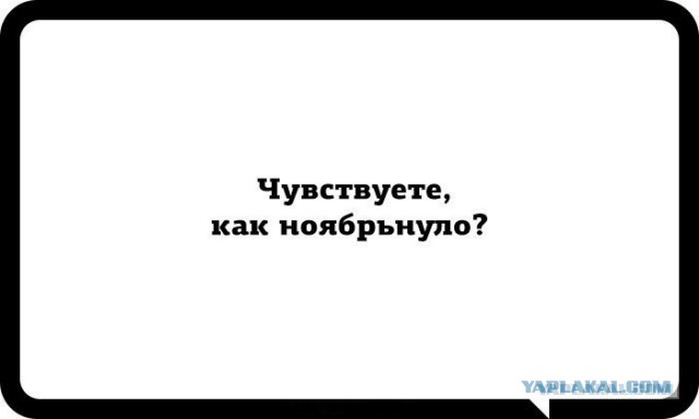 Подборка интересных и веселых картинок