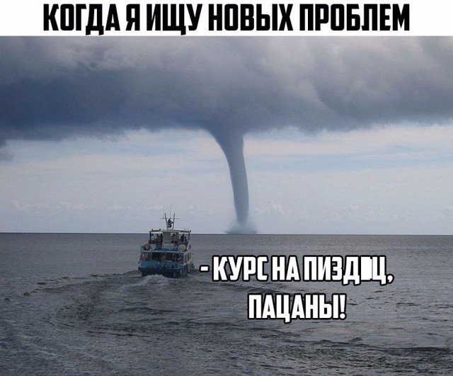 Подборка безудержного веселья