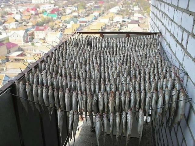 Картинок всяких
