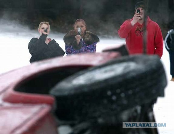 Новый вид вмерзшего "мамонта"