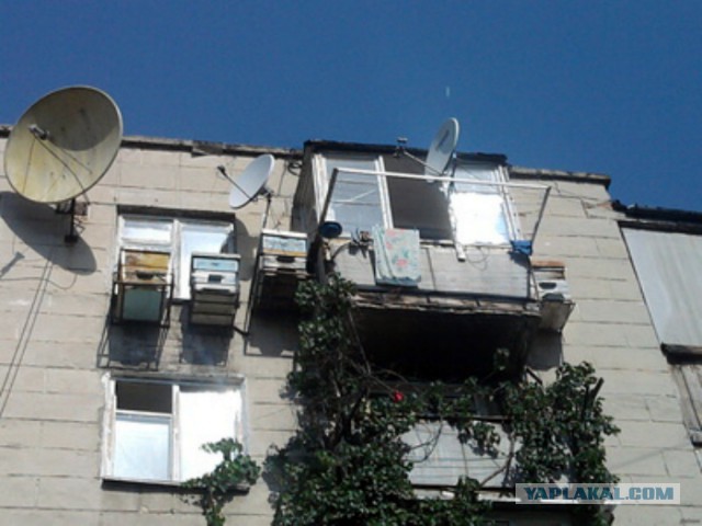 Соседи держат петухов на балконе