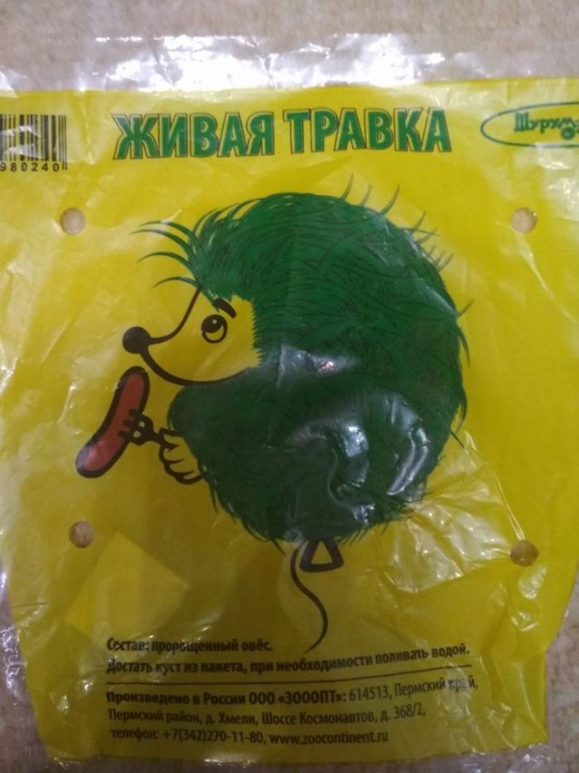 Прикольные картинки абавсём