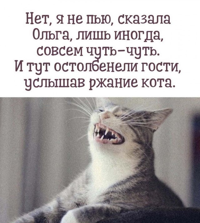 Бредзона 24.05.20