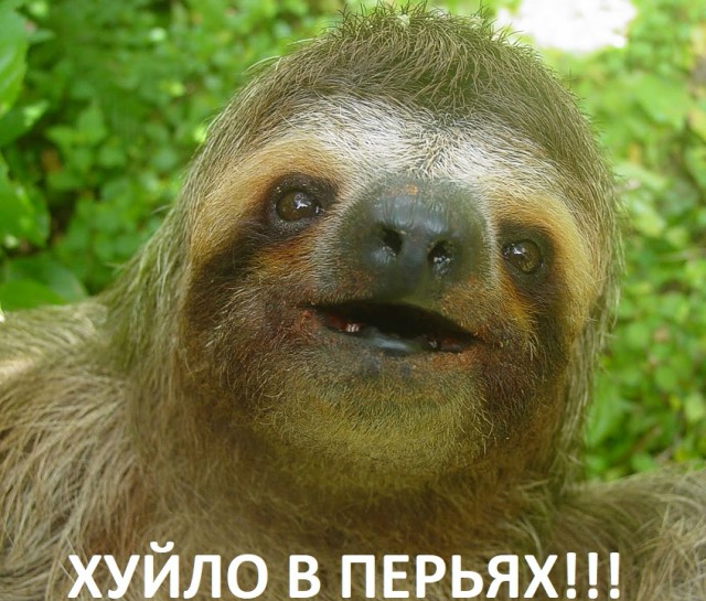 Не хотела бы встретить, но глаз не отвести