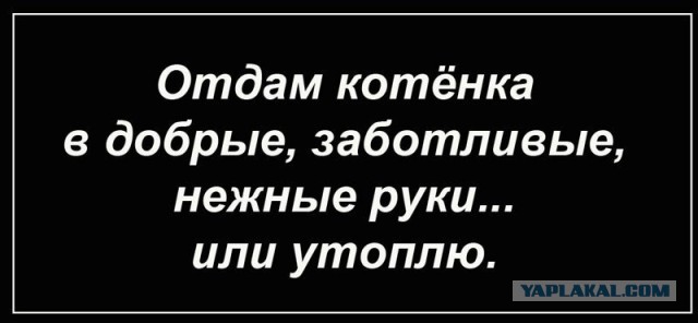 Снова пятница. И немного слегка пошлых картинок с надписями и без 16+ (31.07)