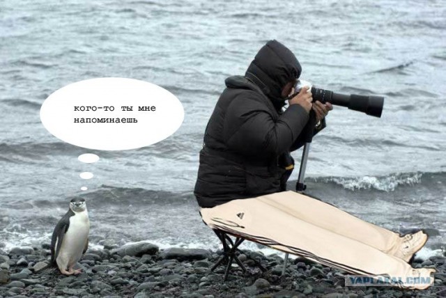 Внимательный фотограф