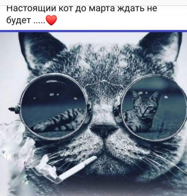 Фотки и картинки: юморные и красивые, забавные и милые 18.09.20