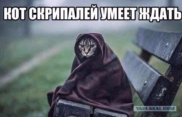 Анекдот дня