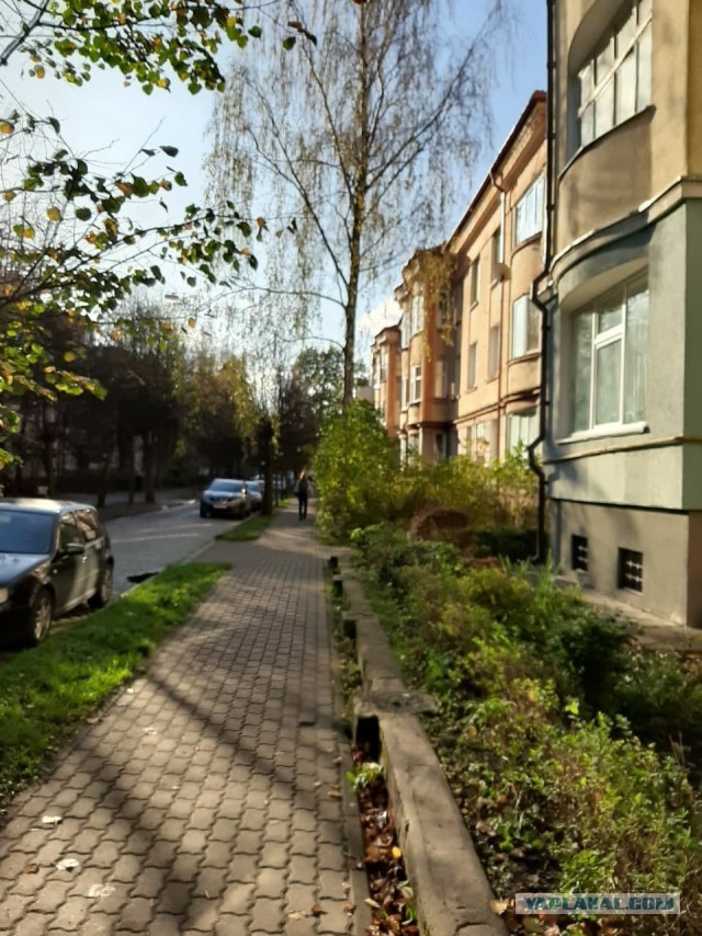 Калининград — самый необычный город нашей страны