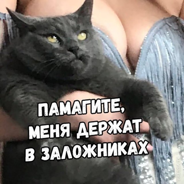 Самый терпеливый котяра!!!