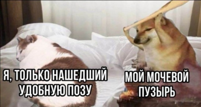 Картинки и мемы для настроения 22.03.2021