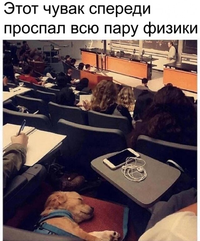Картинки и мемы для настроения 016