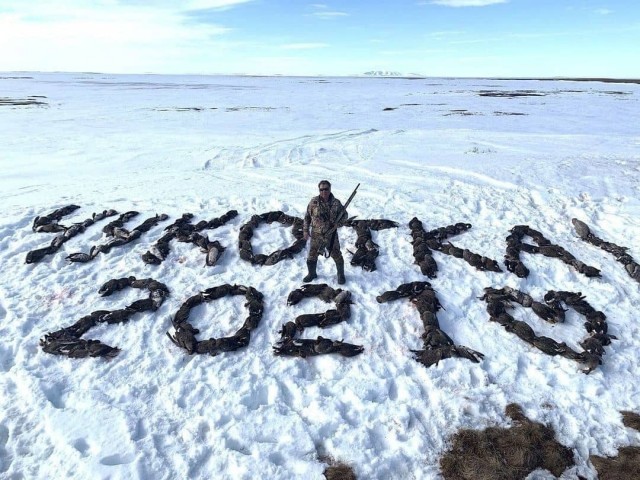 Вот он какой, "папа-гусь"