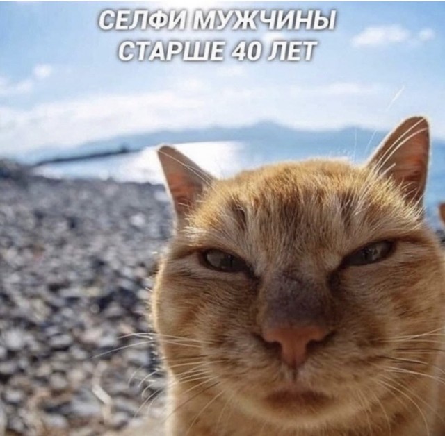 Картинки с надписями и всякие жизненные фразы 3.07.21