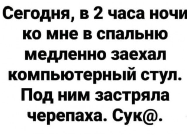 Так себе картинки 13.08.21