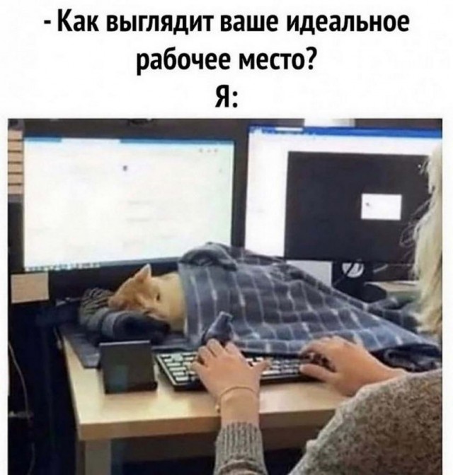 Картинки и мемы для настроения - 10