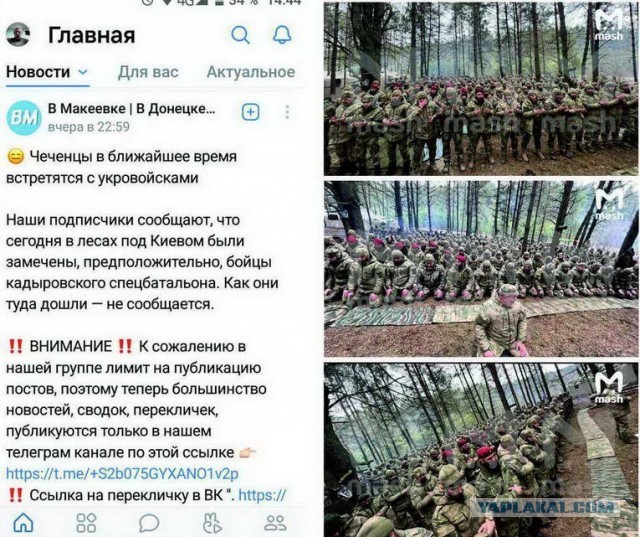Из Чечни собираются отправить 10 тыс бойцов на Украину