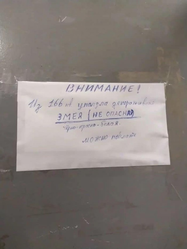 Веселые картинки и видосики