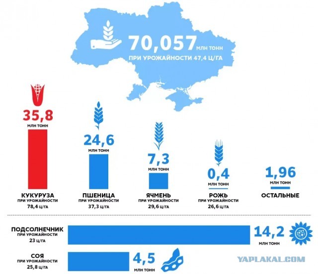 Планирование войны и голод