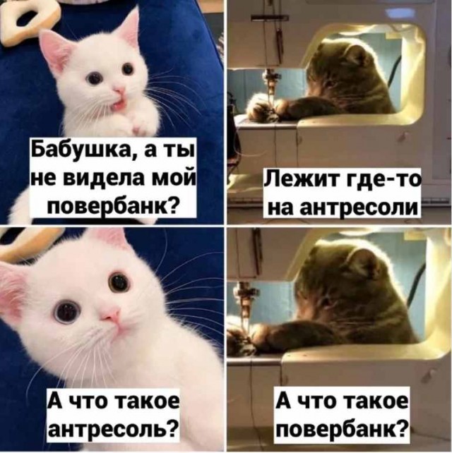 Среда пришла - неделя прошла, дорогие деграданты