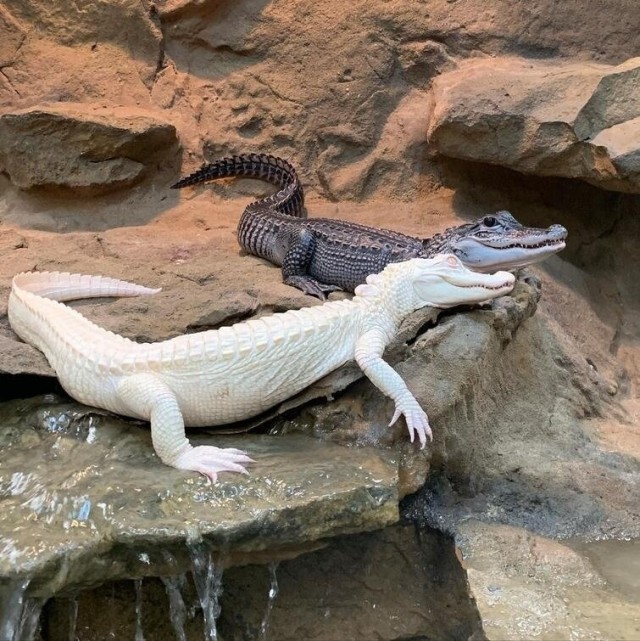 Красивые и интересные картинки 29.05.22