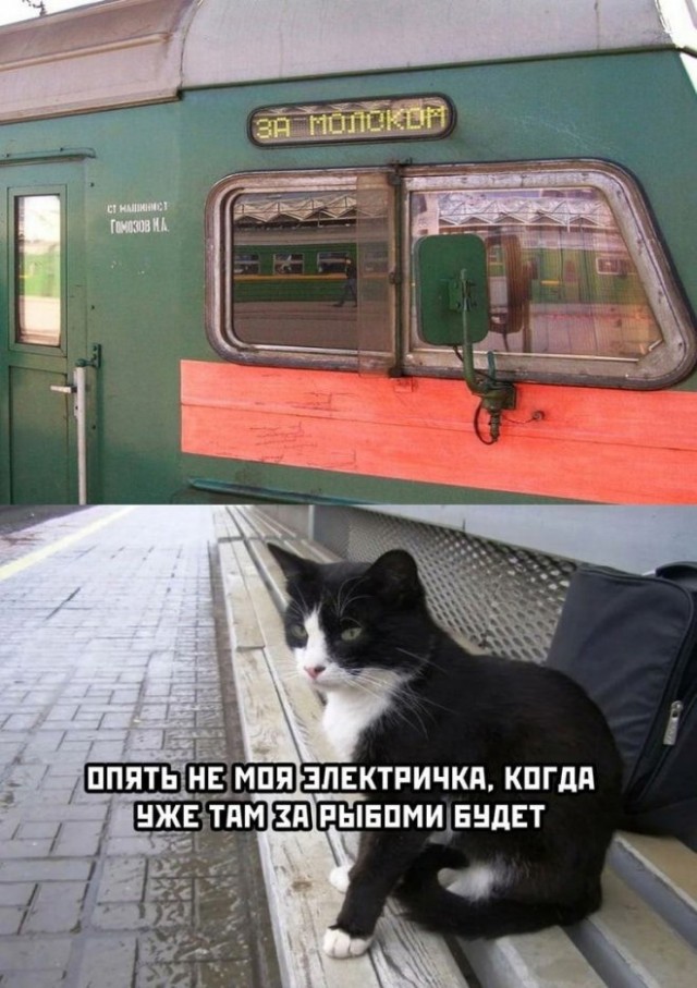 Картинки и мемы для настроения. Выходные скоро