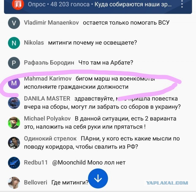 Пандемия съехавших крыш - разновидности болезни. Россия и мир. Часть 42.