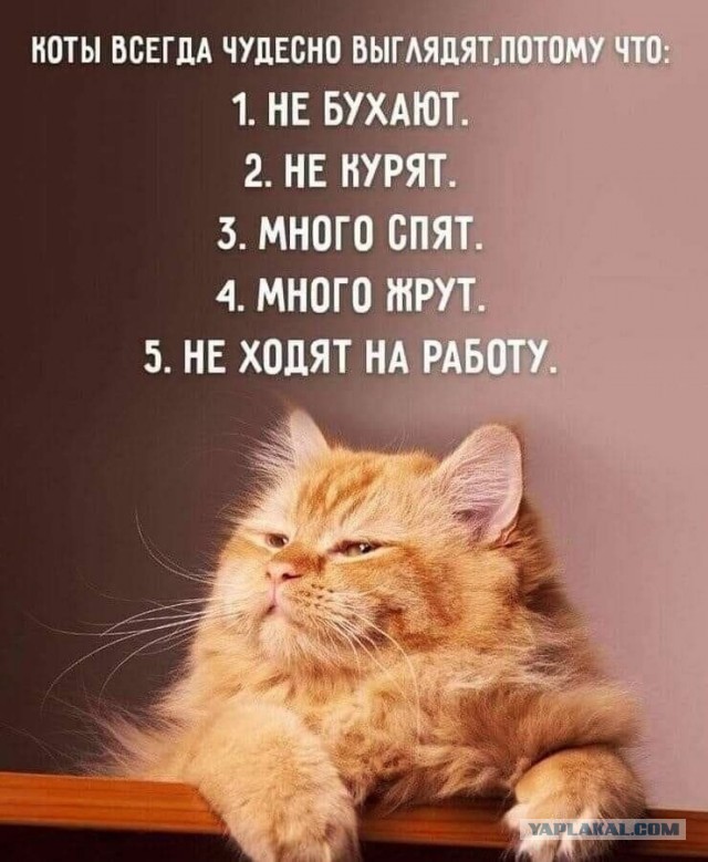 Так себе картинки 09.10.22