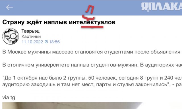 Страну ждёт наплыв интелектуалов