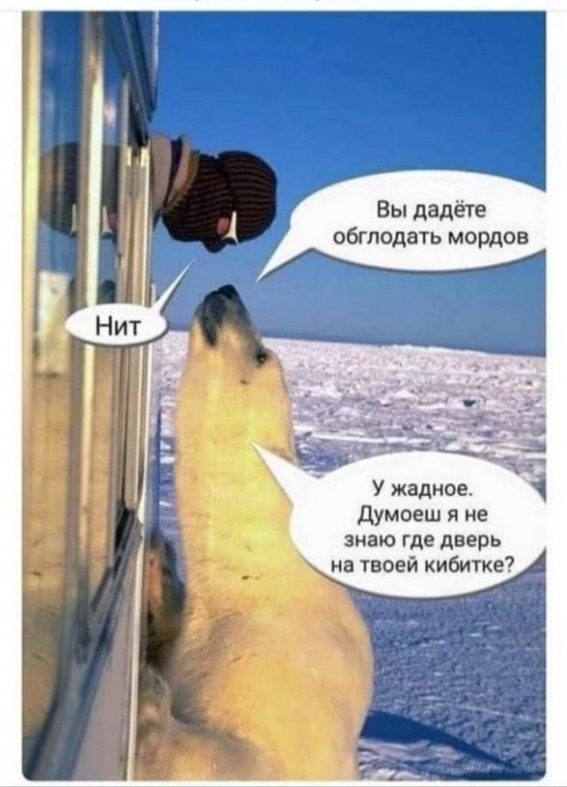 Картинки и мемы, всем хороших выходных