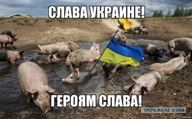 Опрос в Твиттере среди американской аудитории!)