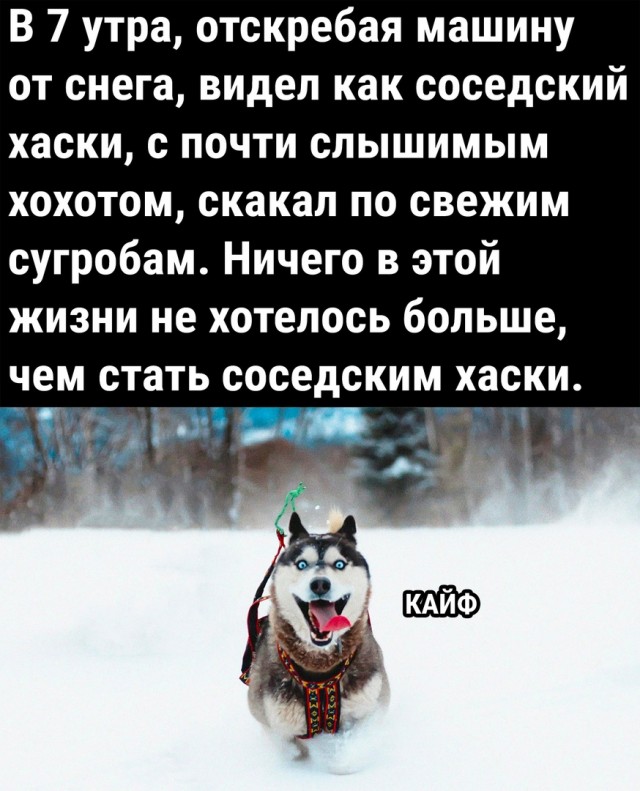 Так себе картинки 07.01.2023