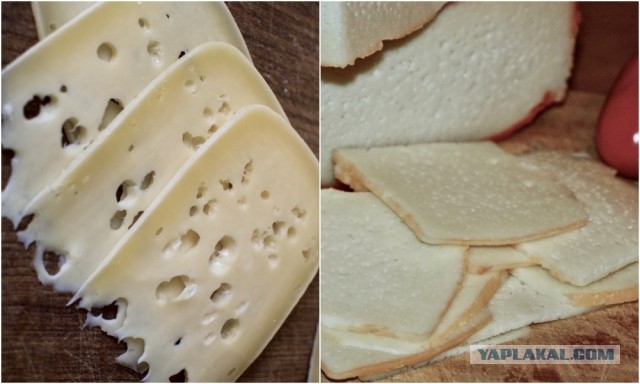 Сыр Маасдам