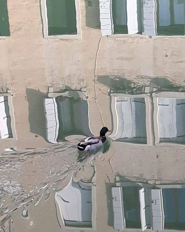 Необычные картинки